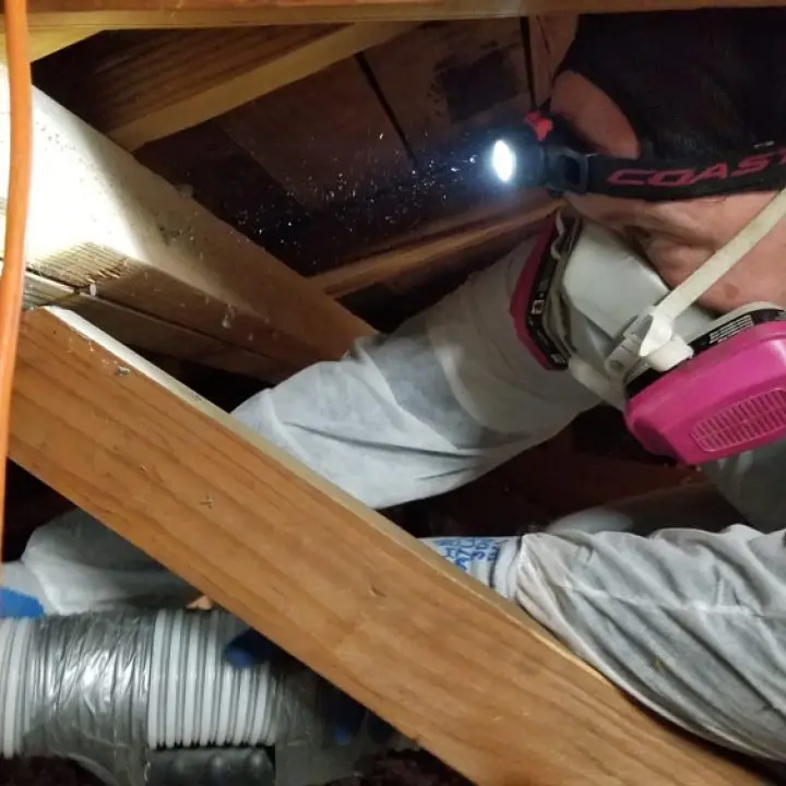 Owner Luke Hunter working in an attic